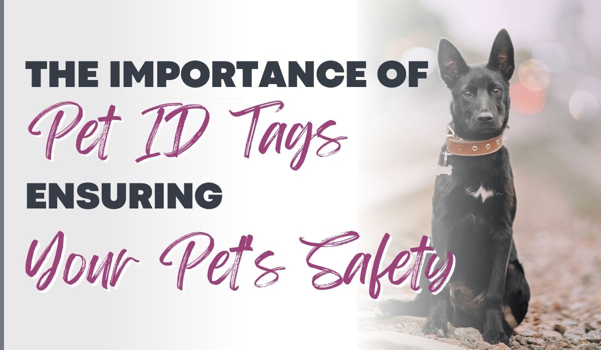 Tags for hot sale your dog