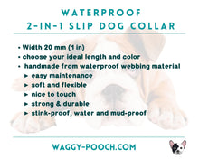 Load image into Gallery viewer, Mud-proof 2 In 1 Slip Dog Collar With Brass Fittings - medium & large dogs - converts from slip to house collar