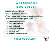 Load image into Gallery viewer, Mud-proof dog collar, 2 colors and brass buckle, 16mm wide