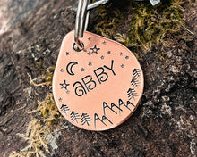 Load image into Gallery viewer, Small dog tag, tear drop pet id tag with mountain and tree design, 2 phone numbers