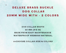 Load image into Gallery viewer, 2-Color luxury dog collar with brass fittings