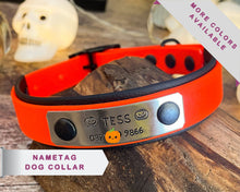 Load image into Gallery viewer, personalized dog collar with name tag