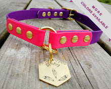 Load image into Gallery viewer, 2-Color deluxe dog collar with brass buckle