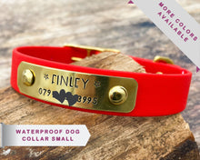 Load image into Gallery viewer, Personalized waterproof dog collar with name plate and brass buckle, 20mm (3/4")