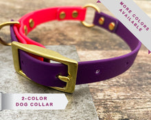 Load image into Gallery viewer, waterproof dog collar with brass buckle