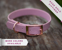 Load image into Gallery viewer, Mudproof hexagon webbing dog collar with rose gold buckle 20mm