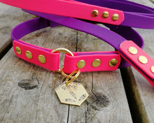 Load image into Gallery viewer, Deluxe 2-color mud-proof dog collar and leash set with brass fittings - choose your size & color