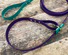 Load image into Gallery viewer, slip dog leash