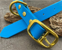 Load image into Gallery viewer, Mudproof Deluxe dog collar with brass buckle - rust-proof & easy care