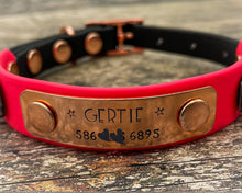 Load image into Gallery viewer, Mud-proof small dog collar with name plate, adjustable buckle collar with rose gold fittings