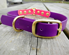 Load image into Gallery viewer, 2-Color deluxe dog collar with brass buckle