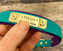 Load image into Gallery viewer, Personalized waterproof dog collar with name plate and brass buckle, 2-colored