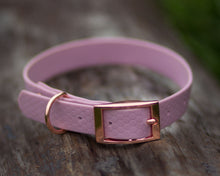 Load image into Gallery viewer, Mudproof hexagon webbing dog collar with rose gold buckle 20mm