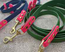 Load image into Gallery viewer, Mud-proof hands-free dog leash, 2 colors & deluxe brass fittings - choose your colors & length