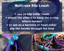 Load image into Gallery viewer, multi-use slip dog lead