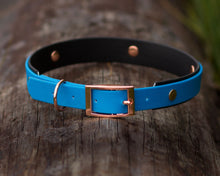 Load image into Gallery viewer, Mudproof dog collar 2 colors with rose gold buckle, 25mm / 1 in