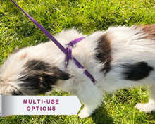 Load image into Gallery viewer, slip leash converts to a harness