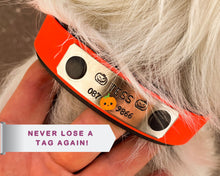 Load image into Gallery viewer, personalized waterproof dog collar with hand-stamped nameplate