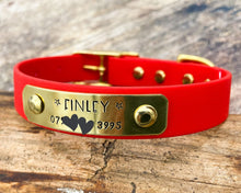Load image into Gallery viewer, Personalized waterproof dog collar with name plate and brass buckle, 20mm (3/4")