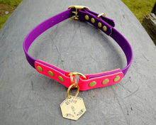 Load image into Gallery viewer, Deluxe 2-color mud-proof dog collar and leash set with brass fittings - choose your size & color