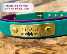 Load image into Gallery viewer, Personalized waterproof dog collar with name plate and brass buckle, 2-colored