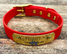 Load image into Gallery viewer, Personalized waterproof dog collar with name plate and brass buckle, 20mm (3/4")