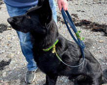 Load image into Gallery viewer, Mud-proof hands-free dog leash, 2 colors & deluxe brass fittings - choose your colors & length