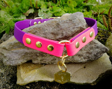 Load image into Gallery viewer, 2-Color deluxe dog collar with brass buckle