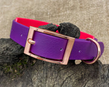 Load image into Gallery viewer, Mud-proof dog collar with name plate and rose gold buckle, 2-colored