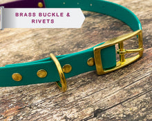 Load image into Gallery viewer, Personalized waterproof dog collar with name plate and brass buckle, 2-colored
