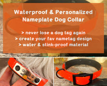 Load image into Gallery viewer, personalized heavy duty dog collar with name and phone number