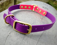Load image into Gallery viewer, Deluxe 2-color mud-proof dog collar and leash set with brass fittings - choose your size & color