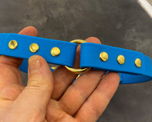 Load image into Gallery viewer, Mudproof Deluxe dog collar with brass buckle - rust-proof & easy care