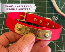 Load image into Gallery viewer, Personalized waterproof dog collar with name plate and brass buckle, 20mm (3/4")