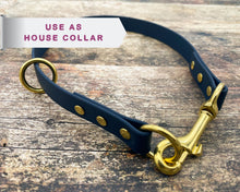 Load image into Gallery viewer, Mud-proof 2 In 1 Slip Dog Collar With Brass Fittings - medium & large dogs - converts from slip to house collar