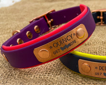 Load image into Gallery viewer, Mud-proof dog collar with name plate and rose gold buckle, 2-colored