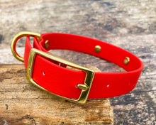Load image into Gallery viewer, Personalized waterproof dog collar with name plate and brass buckle, 20mm (3/4")