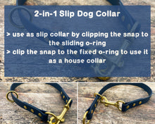 Load image into Gallery viewer, Mud-proof 2 In 1 Slip Dog Collar With Brass Fittings - medium & large dogs - converts from slip to house collar