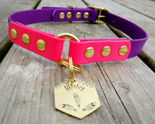 Load image into Gallery viewer, Deluxe 2-color mud-proof dog collar and leash set with brass fittings - choose your size & color