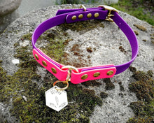 Load image into Gallery viewer, 2-Color deluxe dog collar with brass buckle