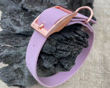 Load image into Gallery viewer, Mudproof hexagon webbing dog collar with rose gold buckle 20mm