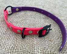 Load image into Gallery viewer, Mud-proof small dog collar, 2 colors, adjustable buckle collar with black fittings