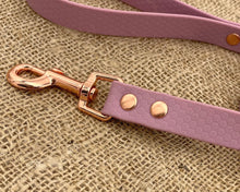 Load image into Gallery viewer, Deluxe mud-proof dog leash with rose gold fittings