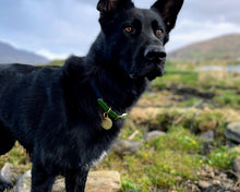 Load image into Gallery viewer, 2-Color luxury dog collar with brass fittings