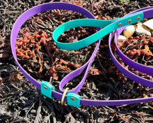 Load image into Gallery viewer, waterproof training leash slip collar