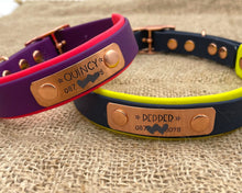 Load image into Gallery viewer, Mud-proof dog collar with name plate and rose gold buckle, 2-colored