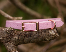 Load image into Gallery viewer, Mudproof hexagon webbing dog collar with rose gold buckle 13mm