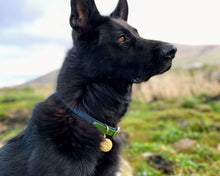 Load image into Gallery viewer, 2-Color luxury dog collar with brass fittings