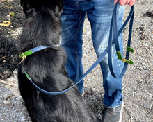 Load image into Gallery viewer, Mud-proof hands-free dog leash, 2 colors & deluxe brass fittings - choose your colors & length