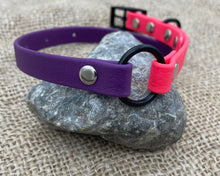 Load image into Gallery viewer, Mud-proof small dog collar, 2 colors, adjustable buckle collar with black fittings